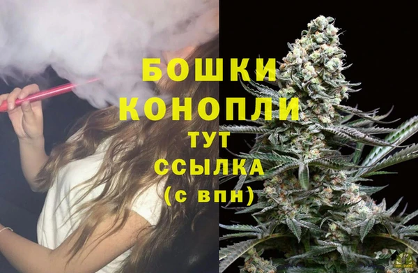 скорость Новозыбков