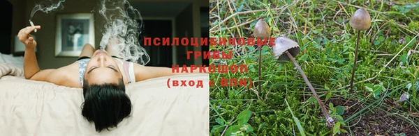 кокаин перу Новодвинск