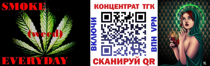 Купить где  Агидель  ТГК концентрат 