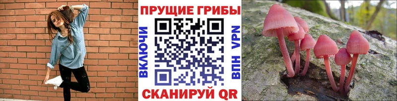 Купить  Агидель  Псилоцибиновые грибы Psilocybe 